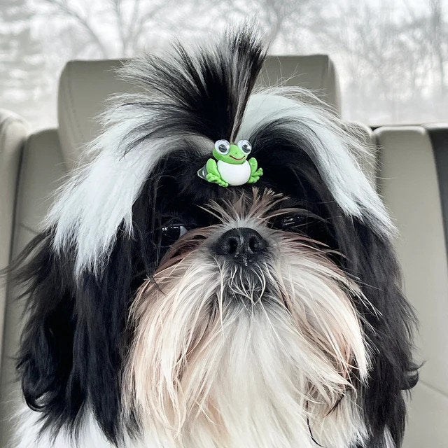 Puppy Bows ~ My puppies pet animal barrette ladybug, fish, frog, panda bear clip pet hair bow (fb232)