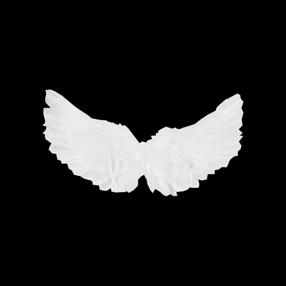 Halloween Angel wings for dogs  white or black dog costume feather FREE SHIPPING  Large dogs