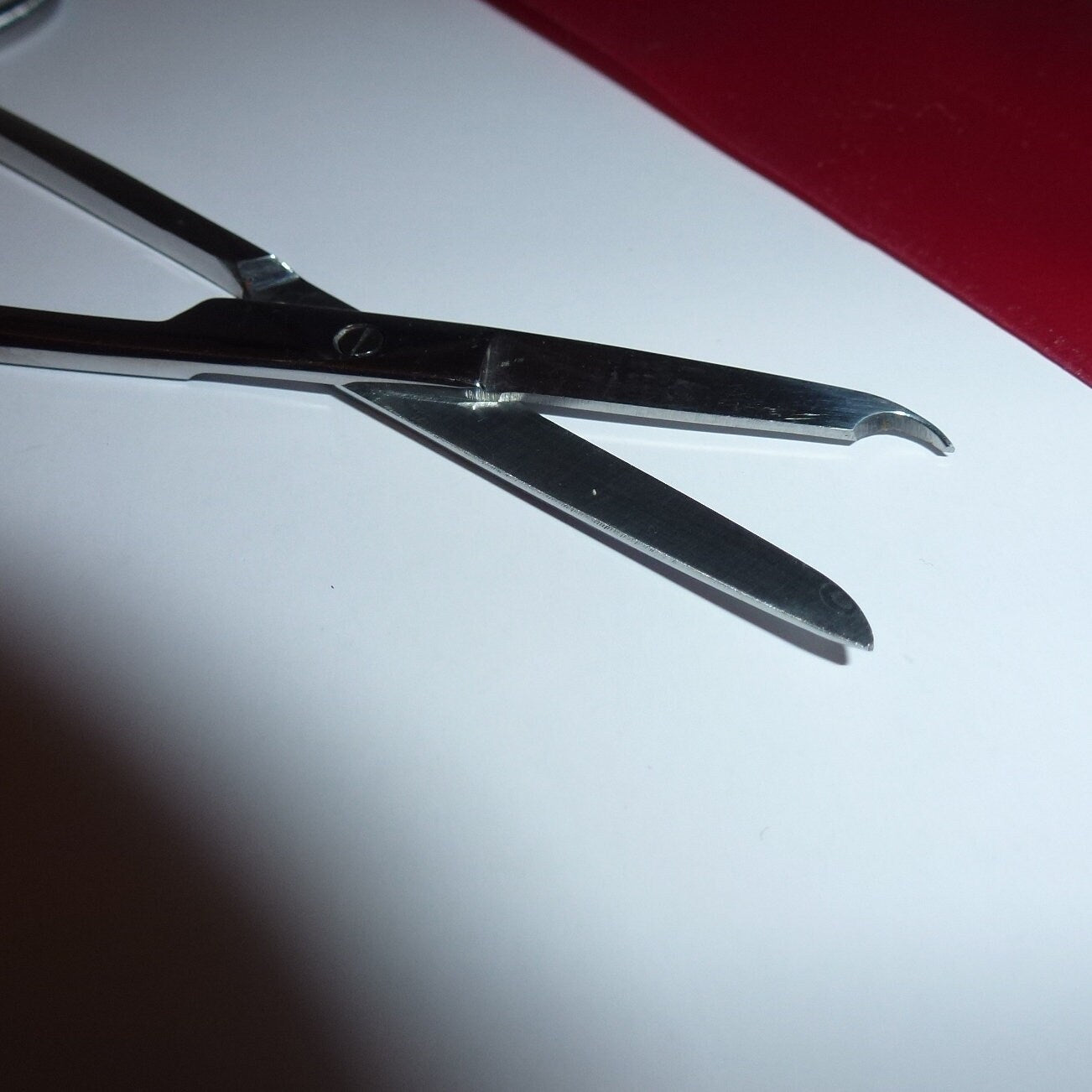 Puppy Bows ~dog grooming dog bow band removal scissors~ USA seller