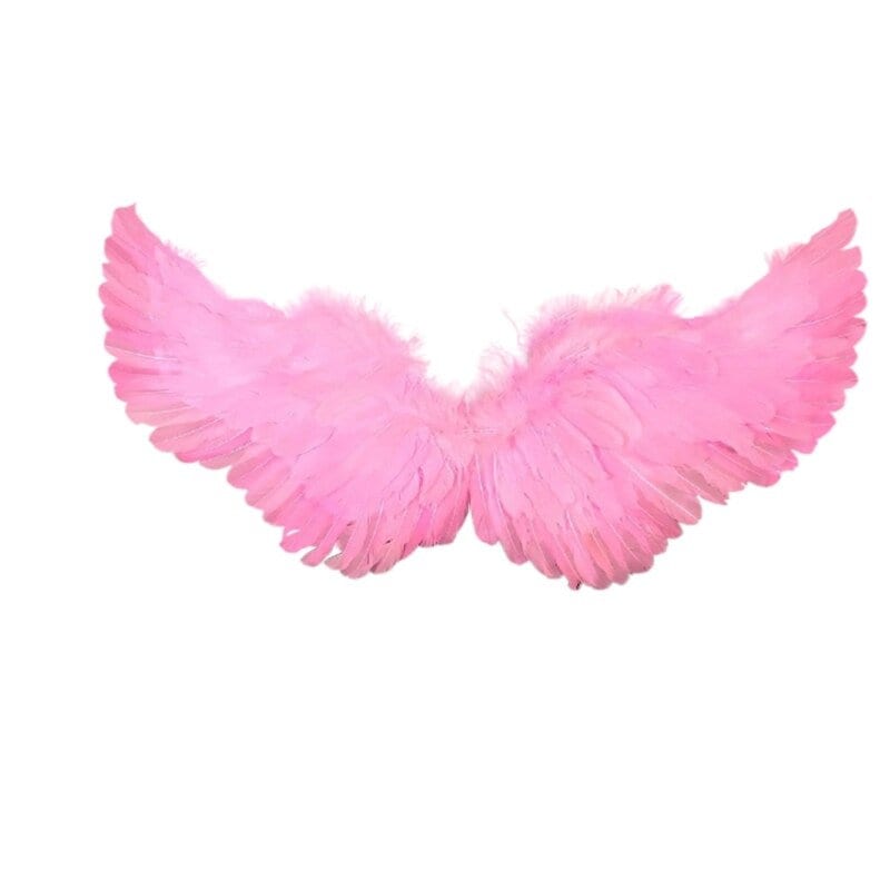 Halloween Angel wings for dogs  white or black dog costume feather FREE SHIPPING  Large dogs