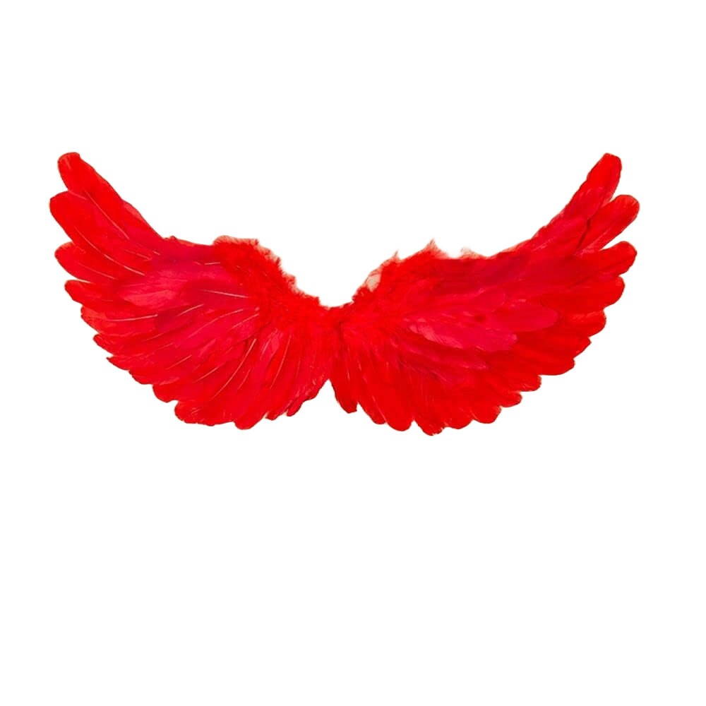Halloween Angel wings for dogs  white or black dog costume feather FREE SHIPPING  Large dogs
