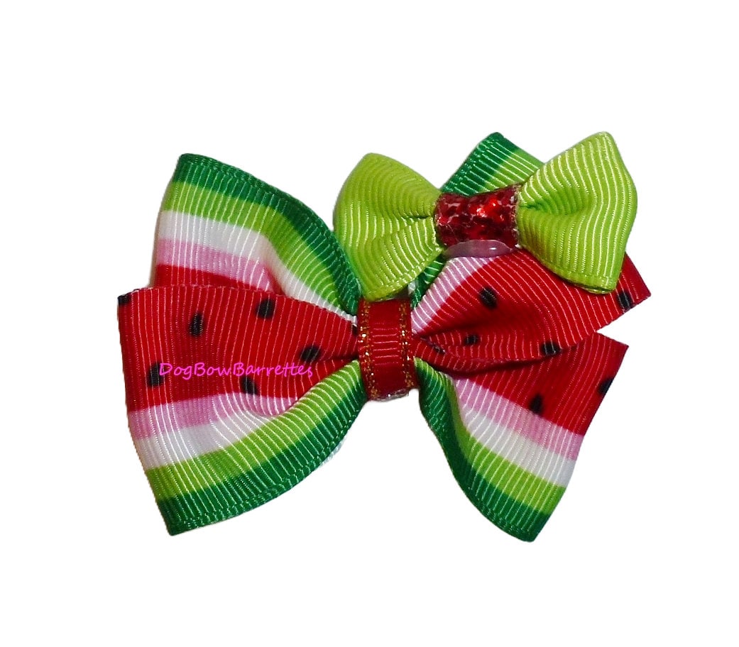 Puppy Bows ~ Watermelon summer pet hair bow latex bands or barrette (fb51D)