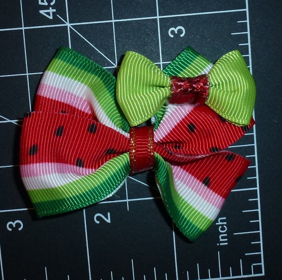Puppy Bows ~ Watermelon summer pet hair bow latex bands or barrette (fb51D)