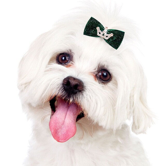 Dog bows rhinestone crown glitter velvet pet hair bow barrettes or bands (fb100D)