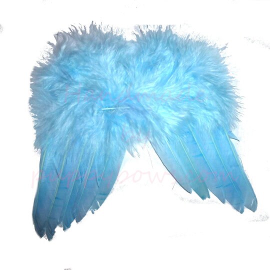 Christmas Angel wings for cats rabbits small animals white dog costume feather 2 - 12lbs