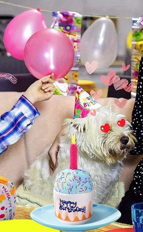 Happy Birthday plush stuffed candle cupcake party favor decor squeaky toy photo prop (to16)