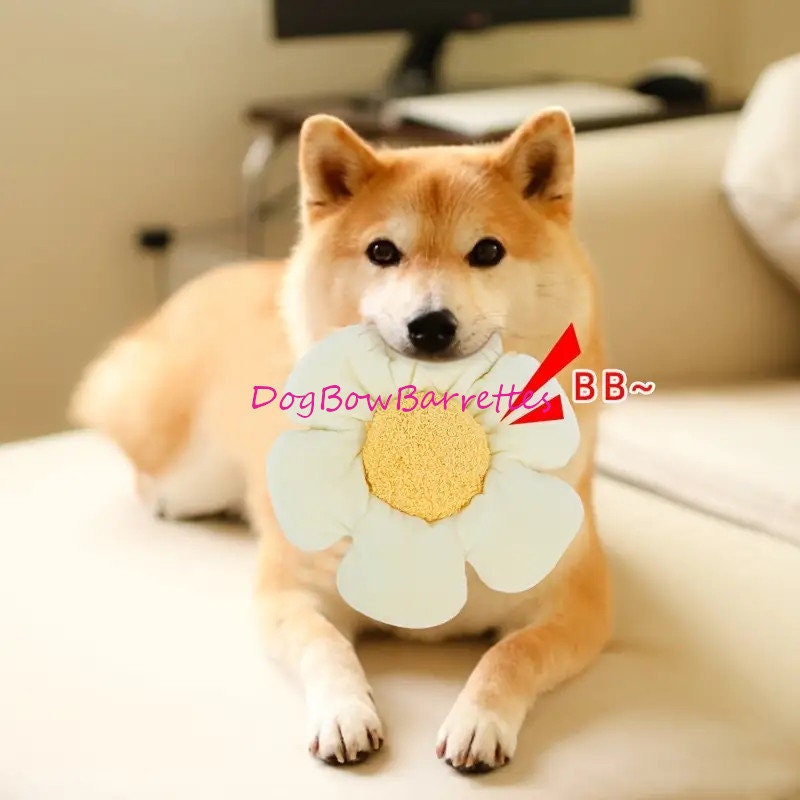 DogBowBarrettes Large red yellow daisy flower 8" plush stuffed photo prop squeaky dog toy (to7)
