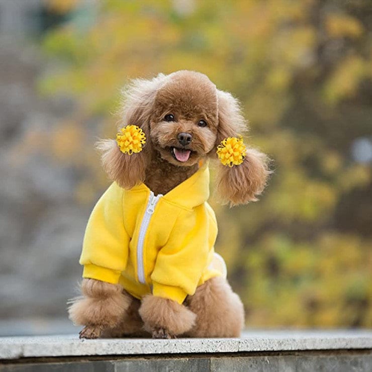 Puppy Bows ~ Fun multi loopy puff creamy yellow hair bows collar slide barrette or bands pet dog bow