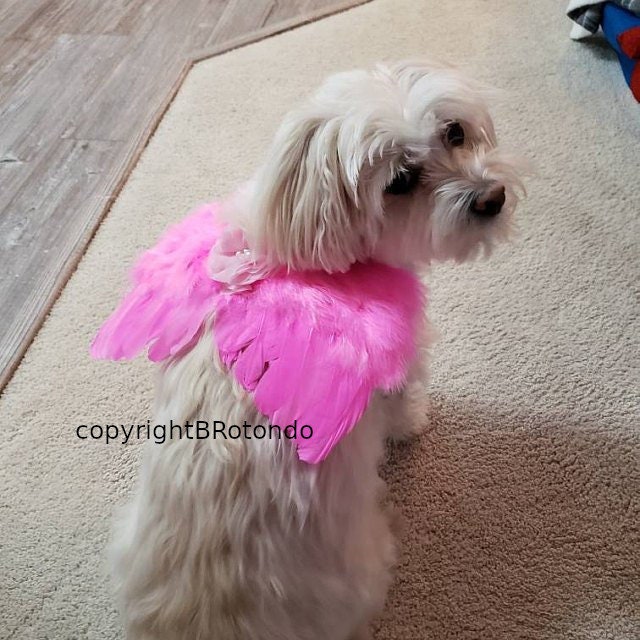 Halloween Angel wings for dogs pink purple red green white dog costume feather fit 5lb - 25lb