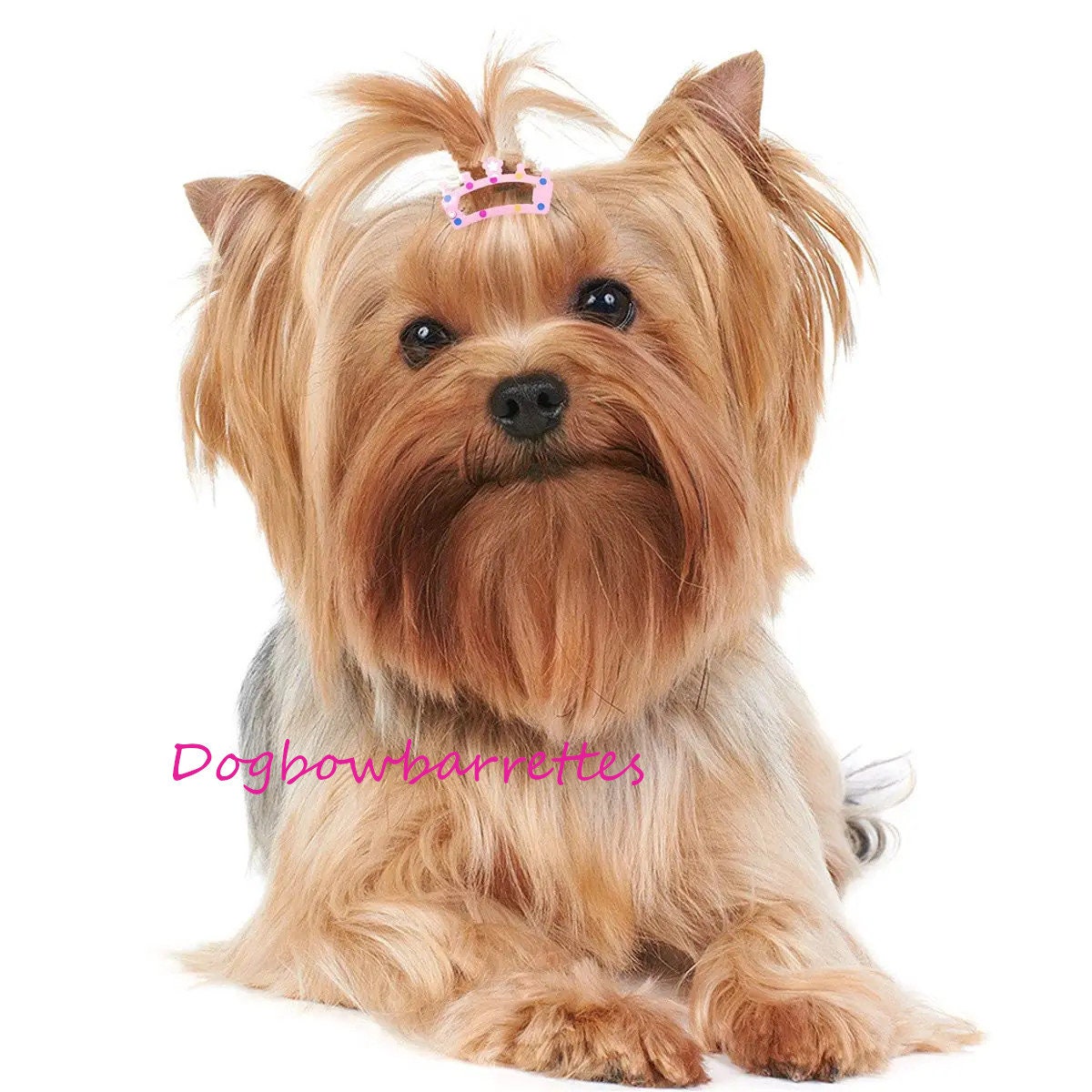 Puppy bows Crown snap clips 6 pieces pet hair dog bow barrettes (19D)