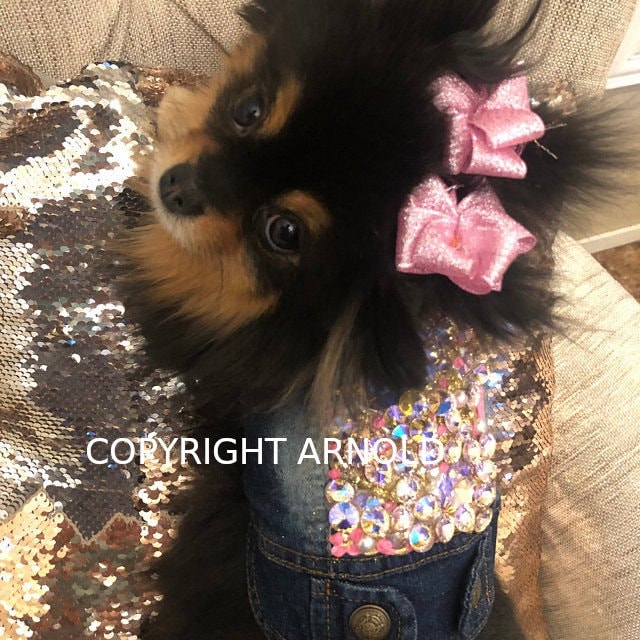 Puppy Bows ~ 5 pair Glitter ALL PINKS! Party puffs dog grooming pet hair bow FREE ship