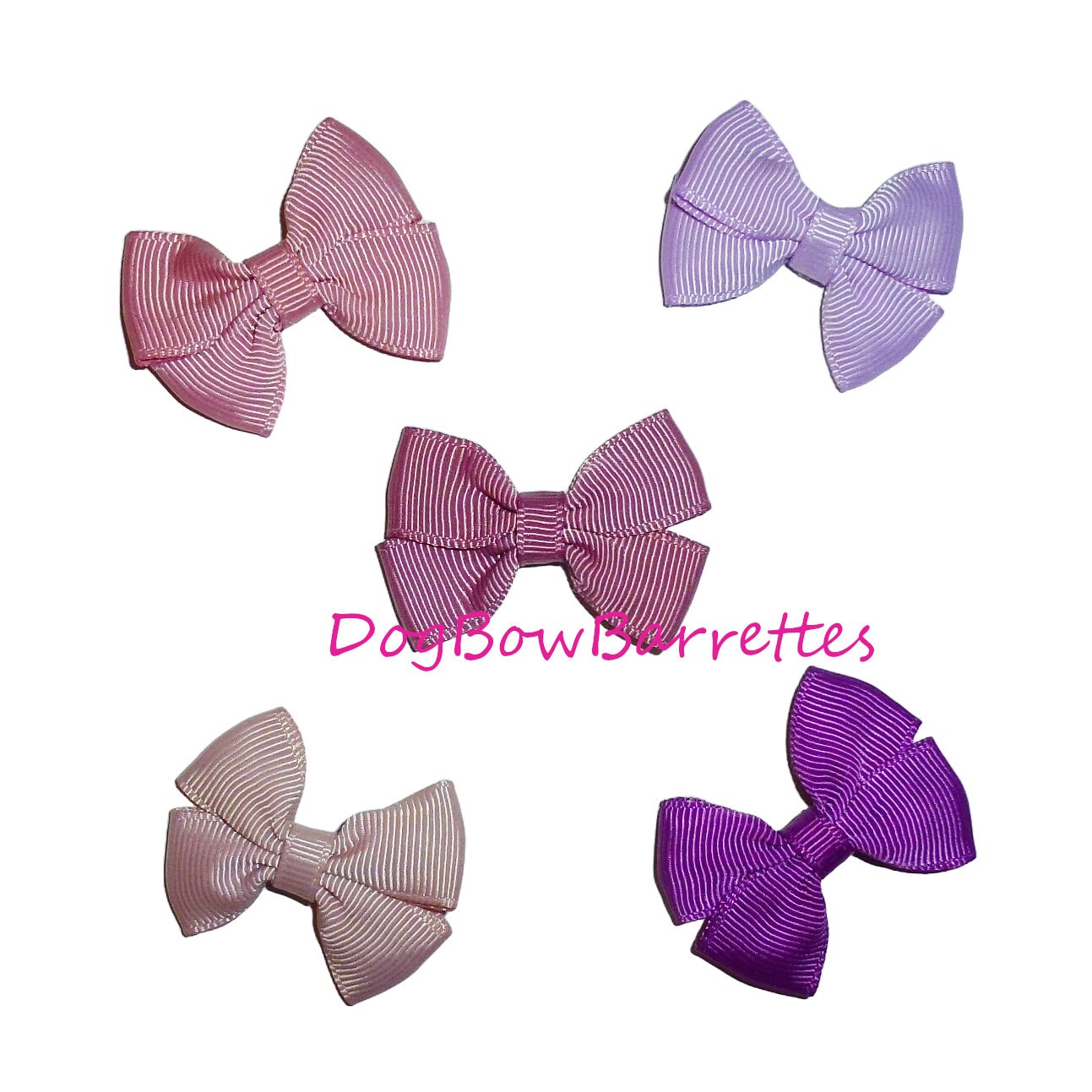 Puppy Bows set of 5 small dog SO MUCH PURPLE hair bowknot bow bands or barrette (brdr)