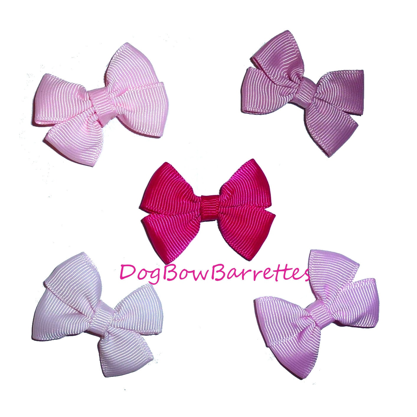 Puppy Bows set of 5 small dog SO MUCH PINK hair bowknot bow bands or barrette (brdr)