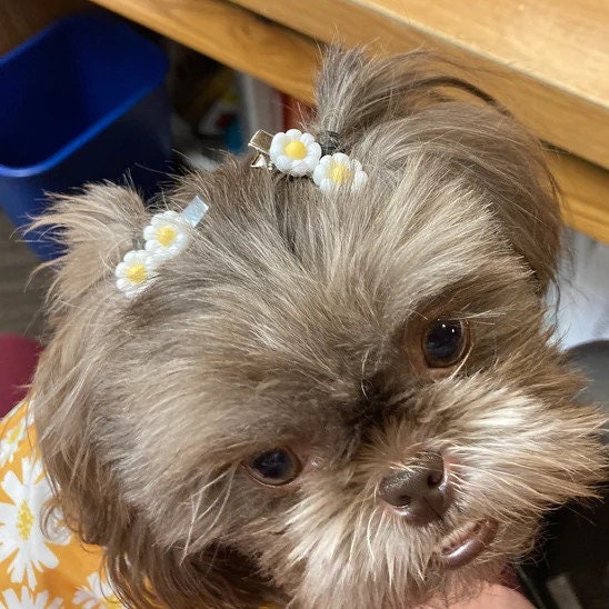 Puppy Dog Bows ~ Tiny pillow daisy plastic puppy clips pet hair bow barrettes or bands (fb208A)