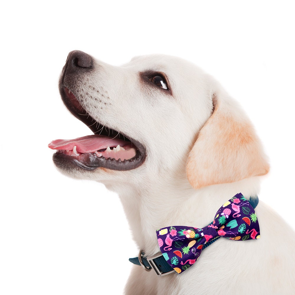 Puppy Bows ~ Summer flamingos watermelon beach bow tie dog collar slide bowtie accessory (dc18)