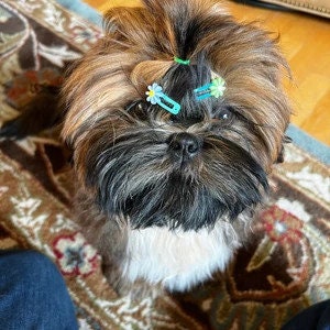 Dog Bow Barrettes tiny 6 unicorn jewel snap clips for pet hair topknot (fb229d)