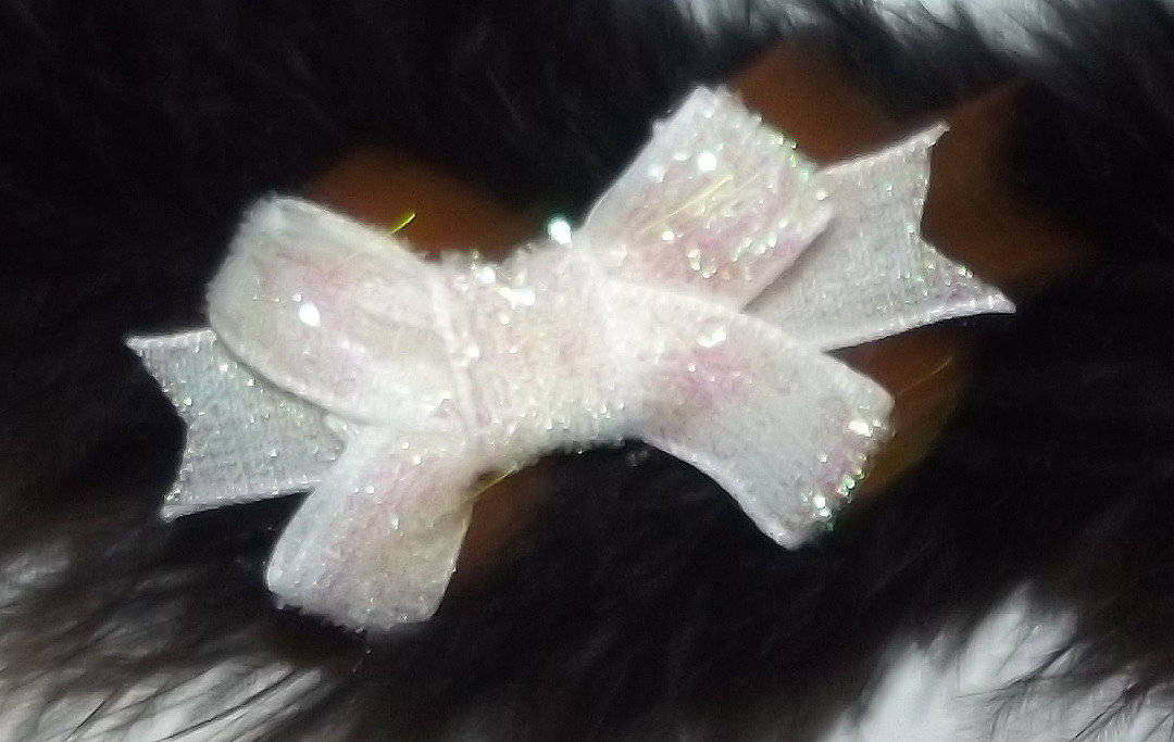 Puppy Bows ~Velvet glitters 2" larger size dog hair pet comb clip barrette 9 colors! ~Usa seller