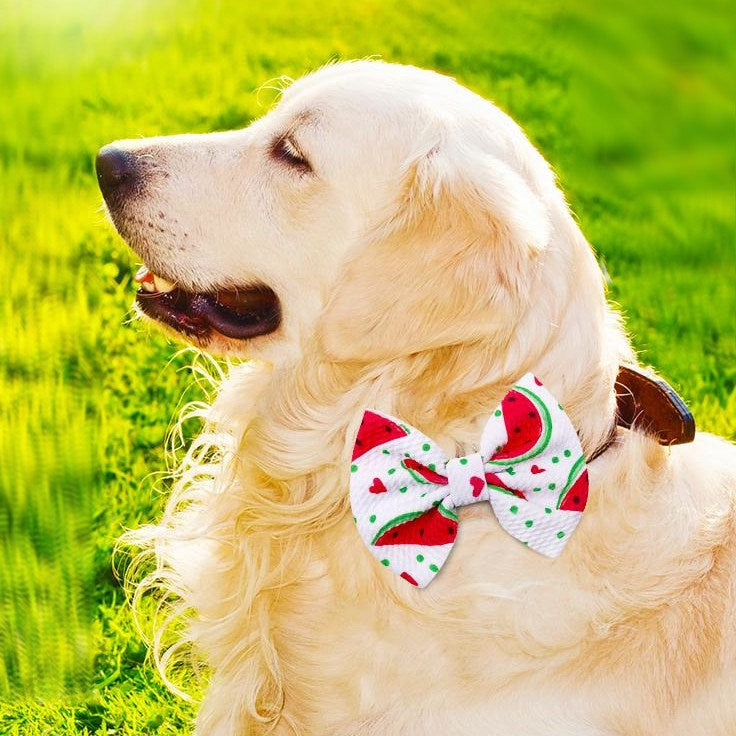 Puppy Bows ~ Large dog bow bowtie seasonal collar slide flower accessory (DC9)