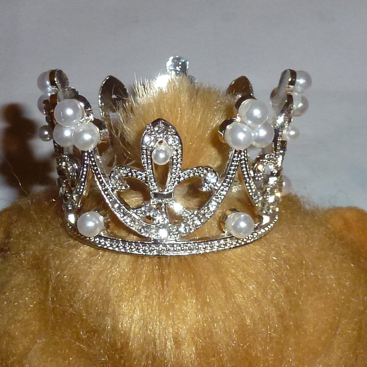 Puppy Bows ~ 3D silver or pearl tiara crown dog bow pet head strap (FB328)