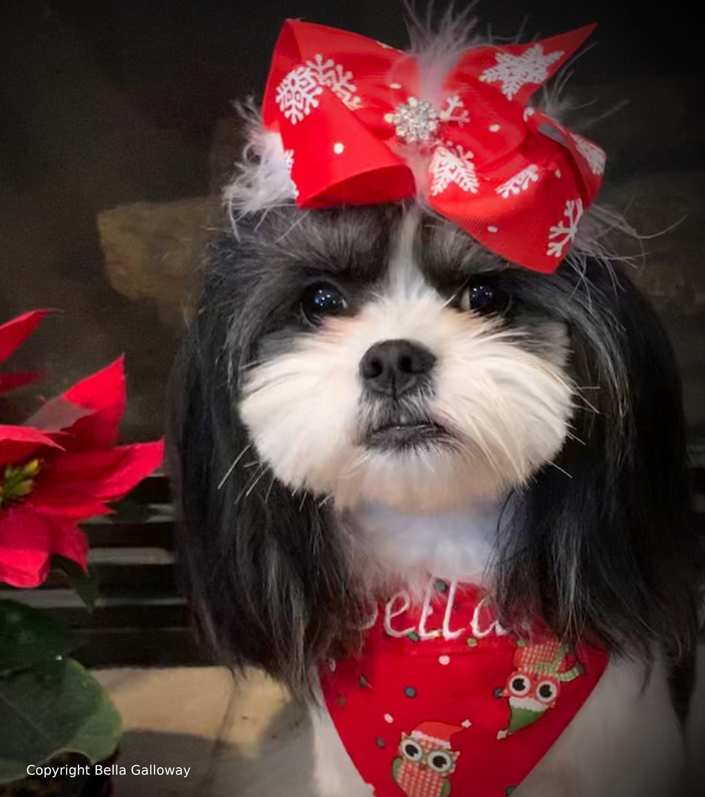 Dog bow christmas collar slide flower red white feather snowflakes (dc35)