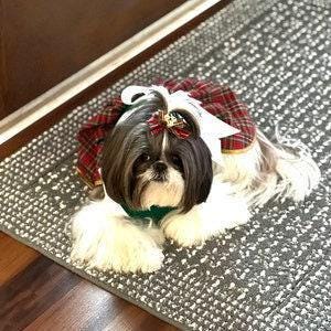 Puppy bows christmas plaid jingle bell bow pet hair bands clip dog collar slide
