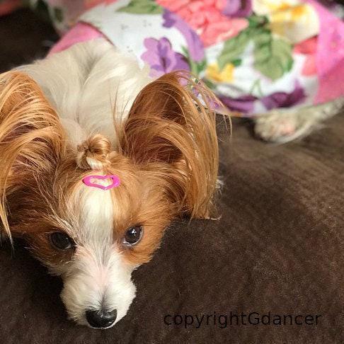 Puppy bows ~barrette snap clip tiny white hearts shape bow dog maltese (fb15)