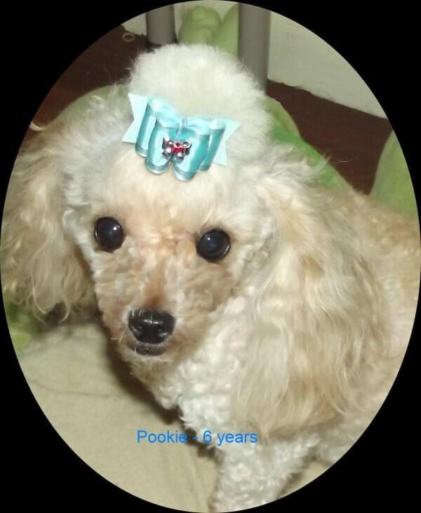 Puppy bows ~dog grooming shears stainless steel curved pink for the perfect topknot scissors~ usa seller