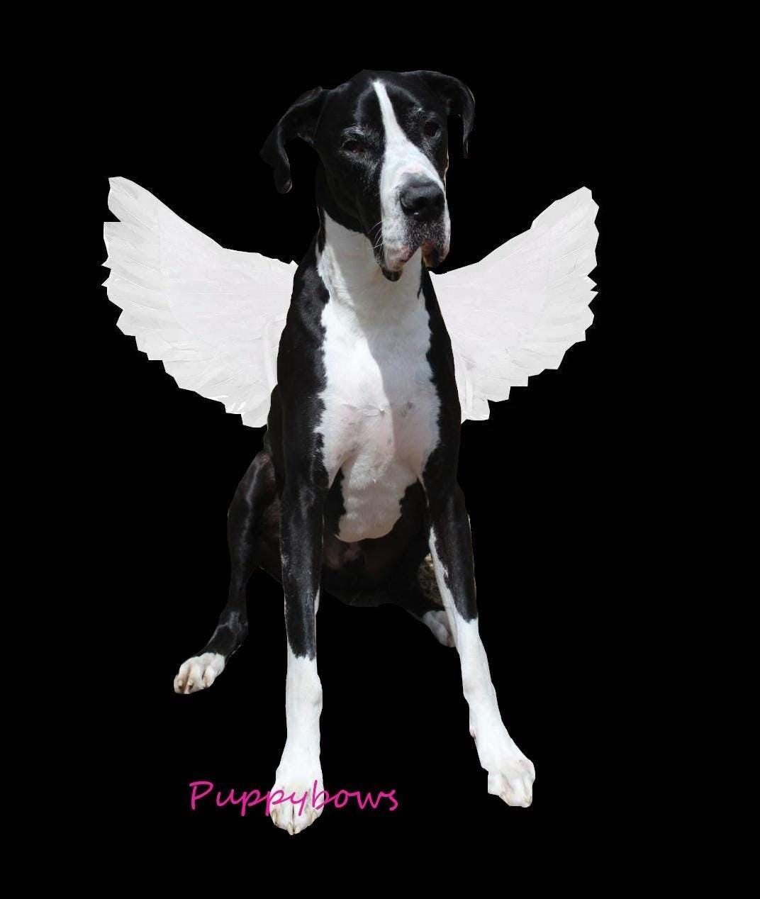 Halloween white angel wings for dogs 45-95lbs dog costume feather large dogs
