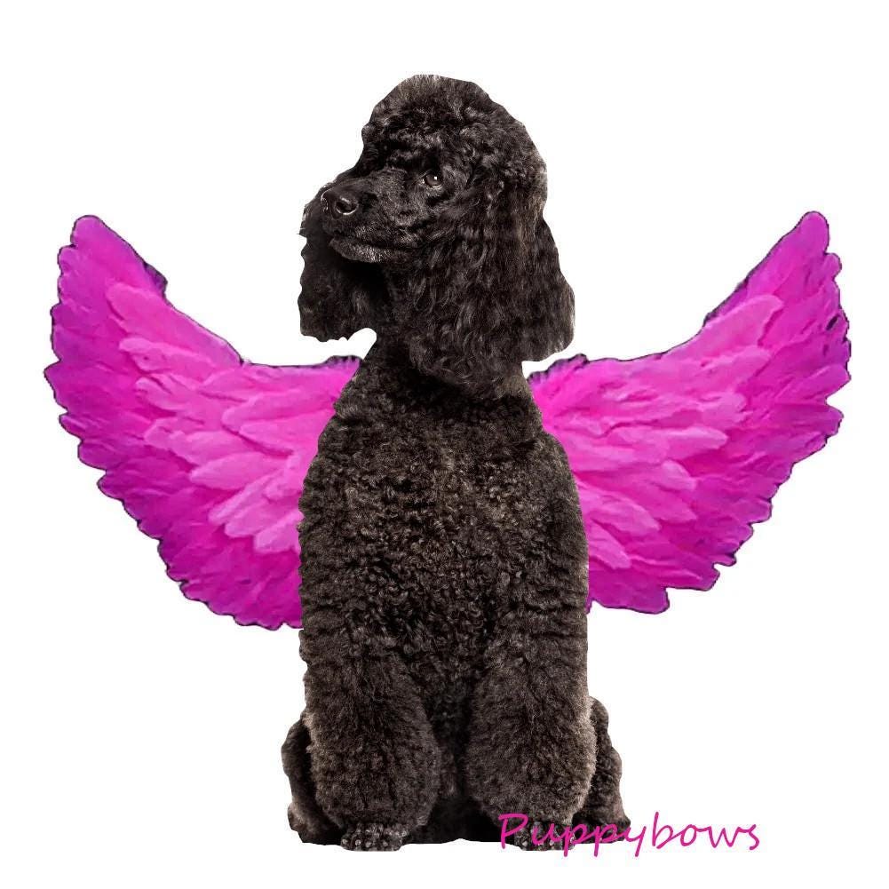 SALE Halloween white angel wings for large dogs 45-95lbs dog costume feather