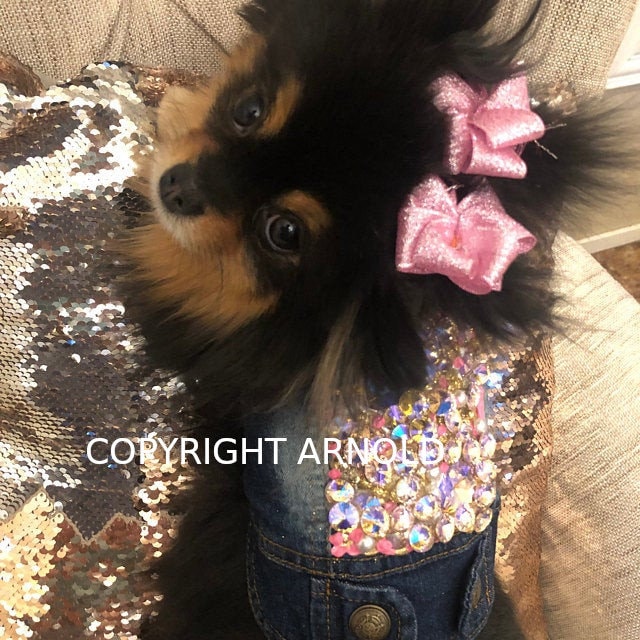 Puppy Bows ~ Glitter Party puffs dog grooming bows