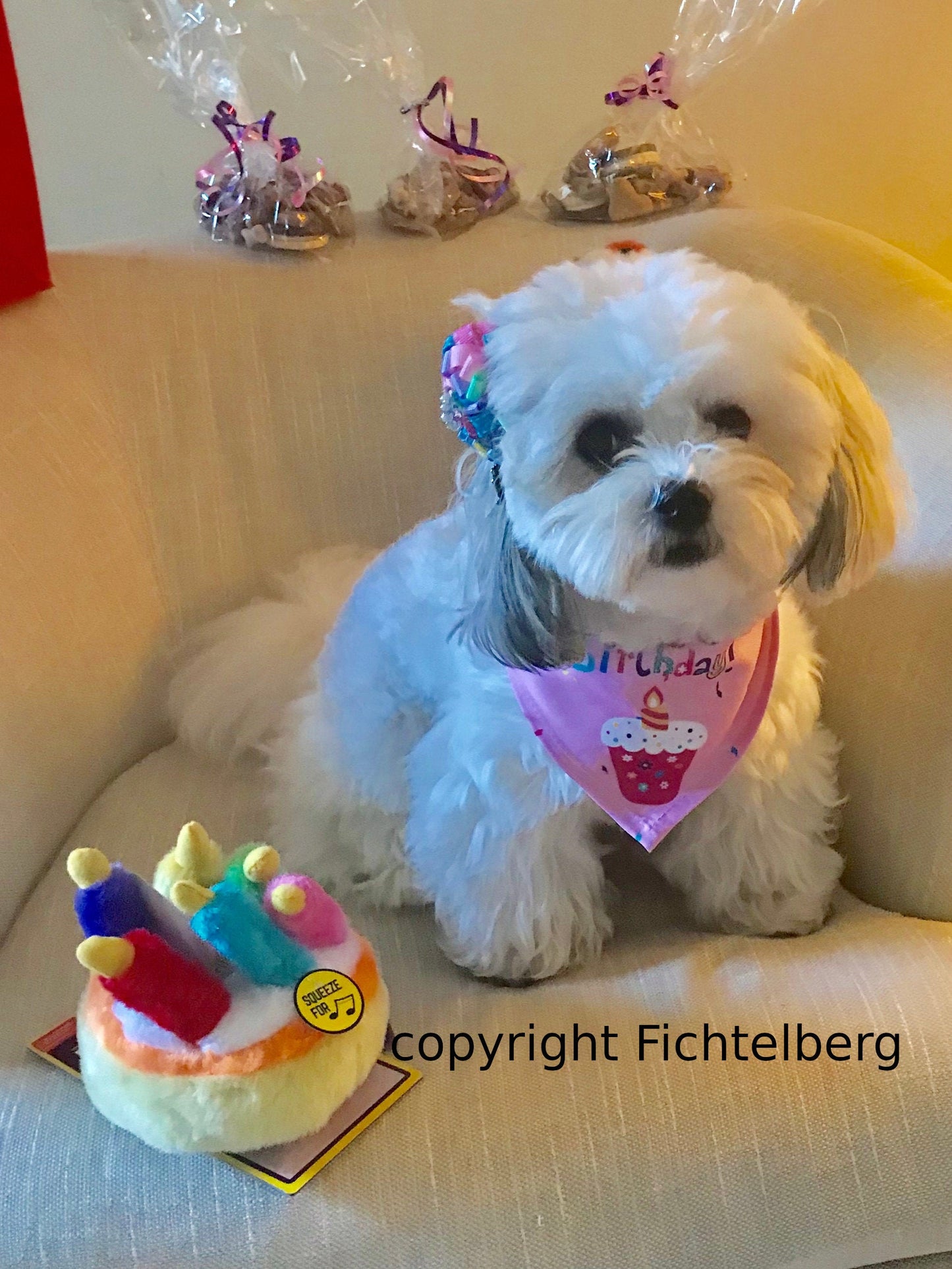 Puppy Bows ~  Fun multi loopy puff multicolor hair bows collar slide  barrette or bands pet dog bow