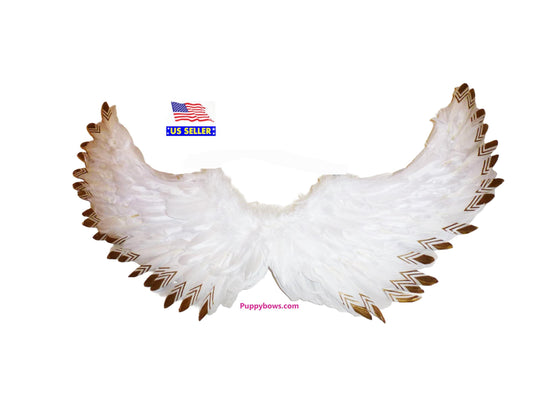 Halloween angel wings gold tips for dogs  dog costume feather large