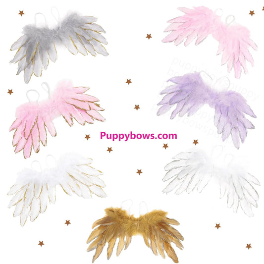 Christmas angel wings for dogs silver or gold tipped dog costume feather  10-35 lbs