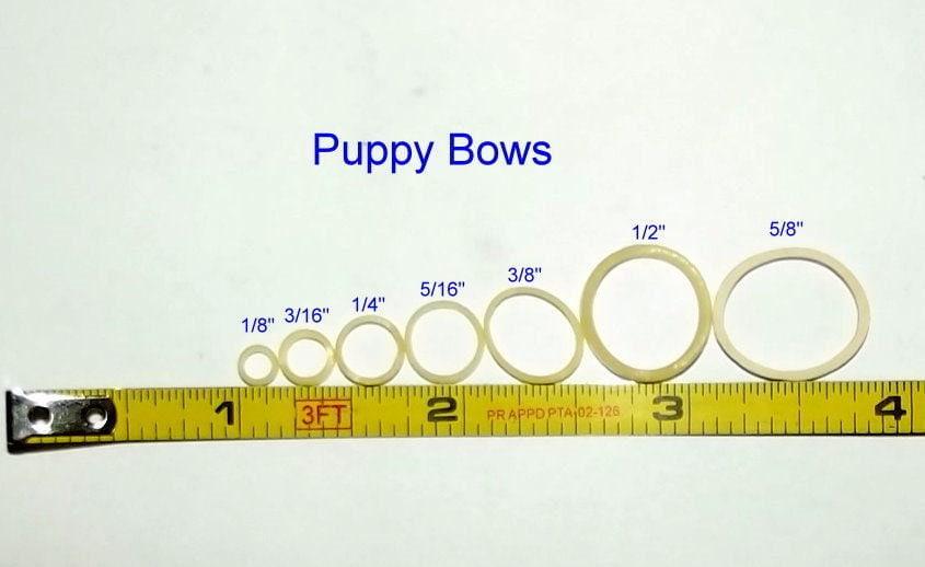 Puppy bows ~  latex or non latex or neon dog grooming bands ~2000 quantity bags elastic dog bows bow topknot band