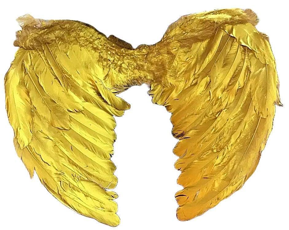 Halloween golden bird cosplay gold angel wings for dogs dog costume feather m l