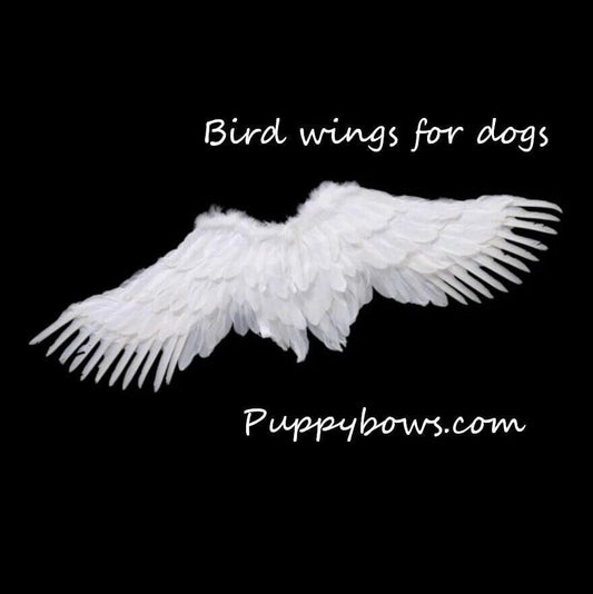 Halloween black bird cosplay angel wings for l & xl dogs dog costume feather