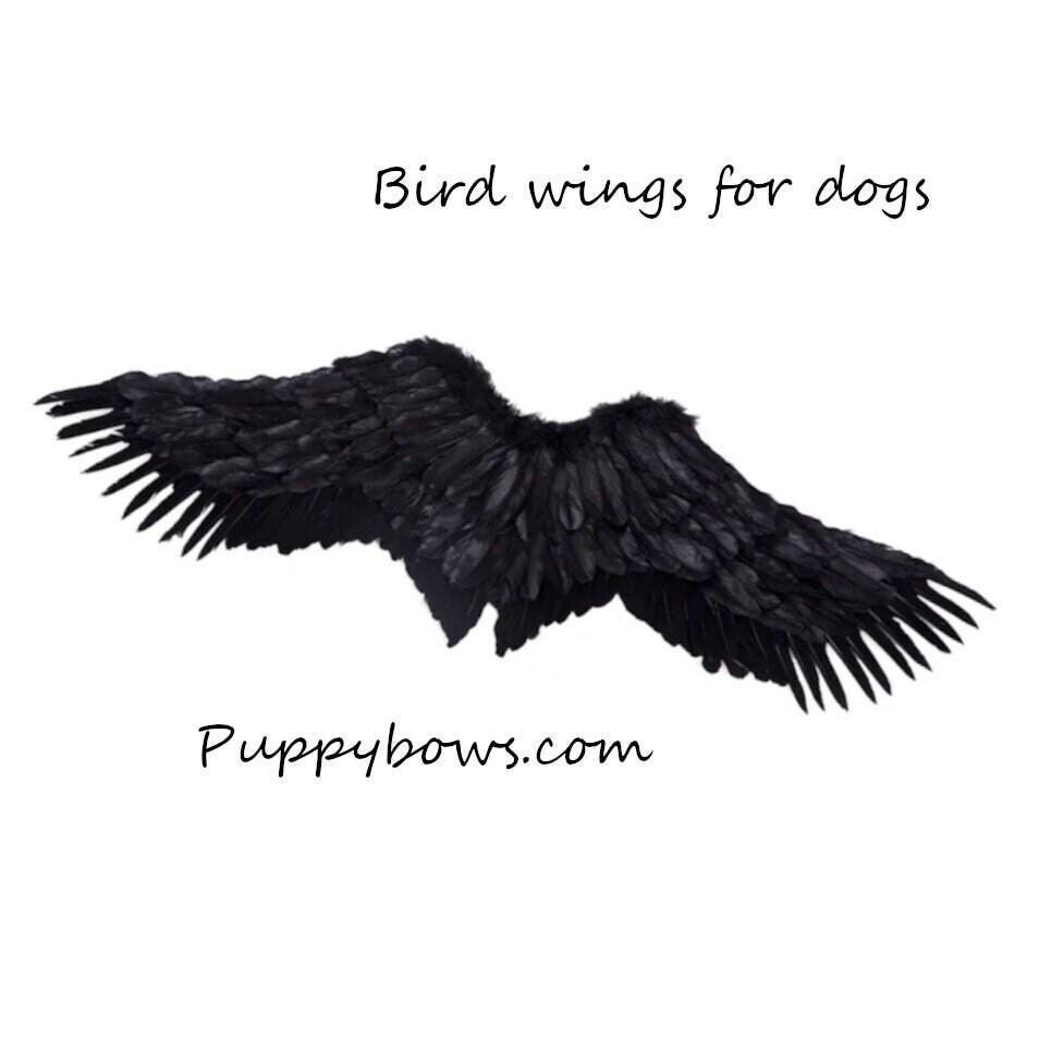 Halloween black bird cosplay angel wings for l & xl dogs dog costume feather