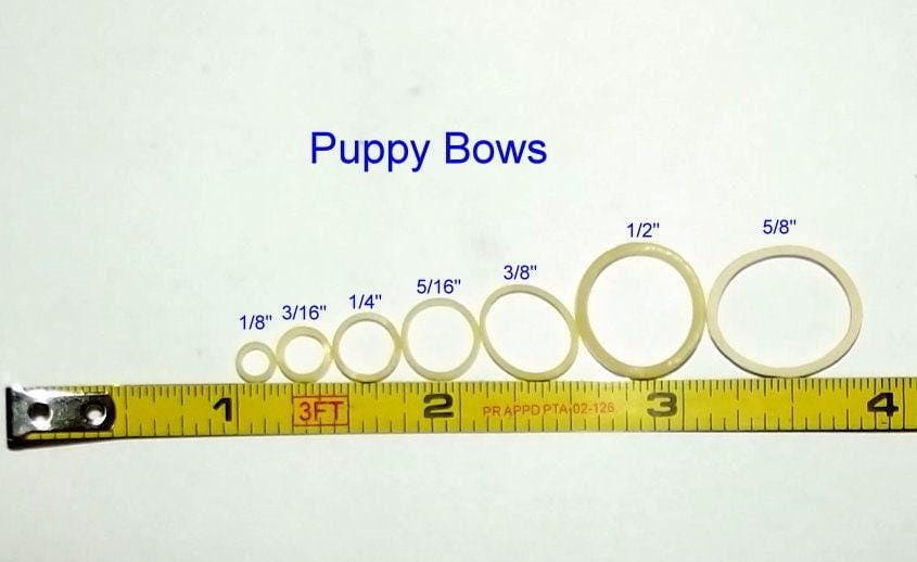 Puppy bows non latex dog grooming bands small quantity bags gum rubber elastic dog bows bow topknot band