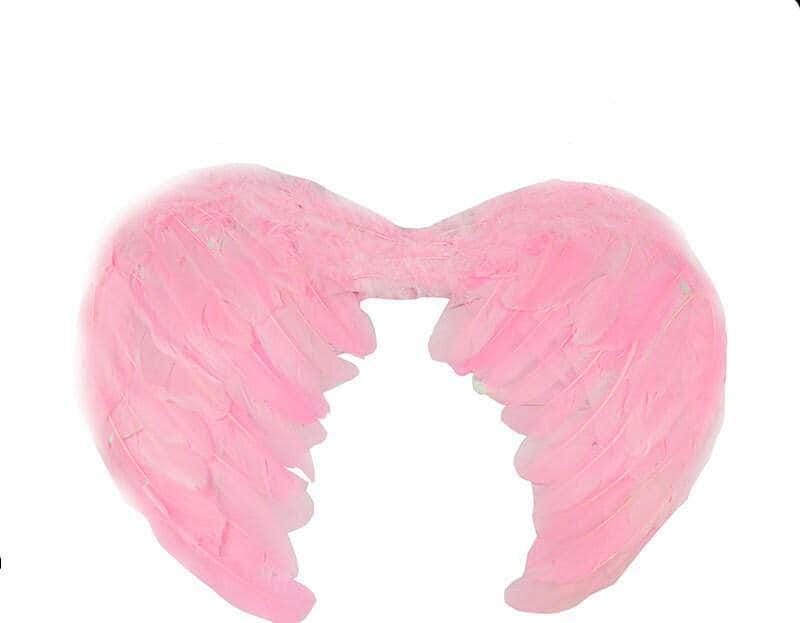 Halloween angel wings for dogs red black or white or pink dog costume feather 25-50lbs