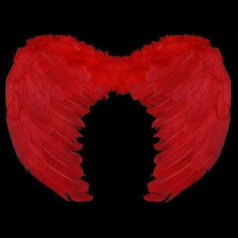 Halloween angel wings for dogs red black or white or pink dog costume feather 25-50lbs