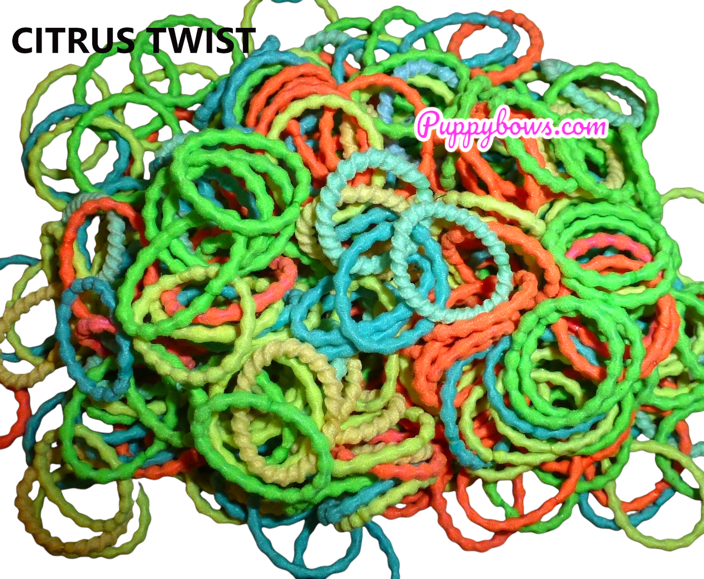 Dog grooming scrunchy twisty hair bands  3/4"  package of 100