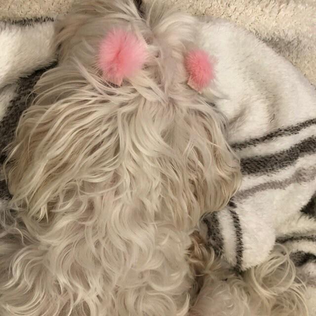 Puppy bows pairs tiny 1" fuzzy feather fur marabou ball puffs  pet dog hair bow