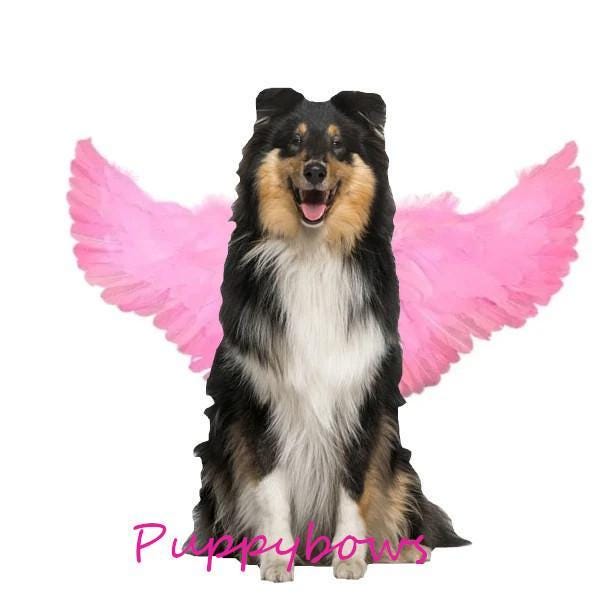 SALE Halloween white angel wings for large dogs 45-95lbs dog costume feather