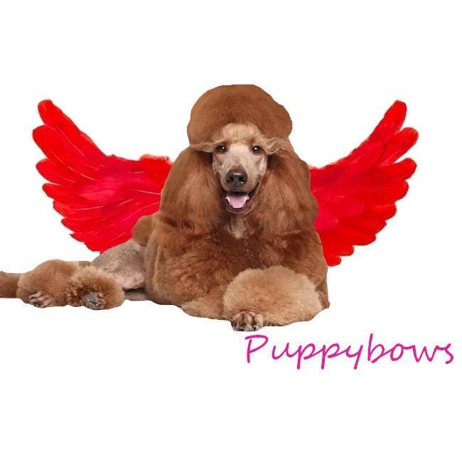 SALE Halloween white angel wings for large dogs 45-95lbs dog costume feather