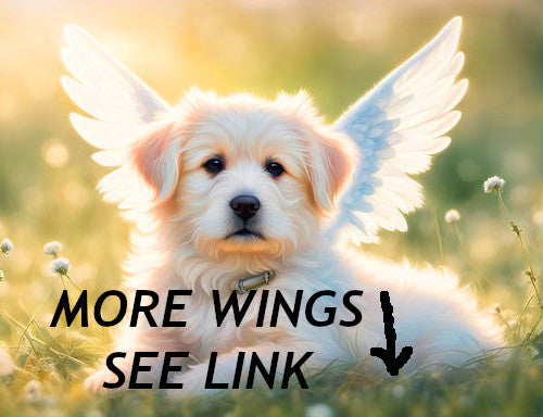 Halloween angel wings for dogs red black or white or pink dog costume feather 25-50lbs