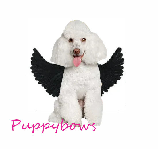 Halloween angel wings for small dogs 10-35 lbs red black or white or pink dog costume feather free shipping